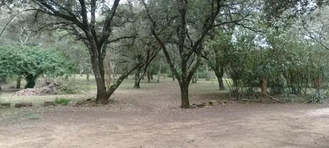 Tente Safari Au Pont Du Gard فير بونت دي غارد المظهر الخارجي الصورة